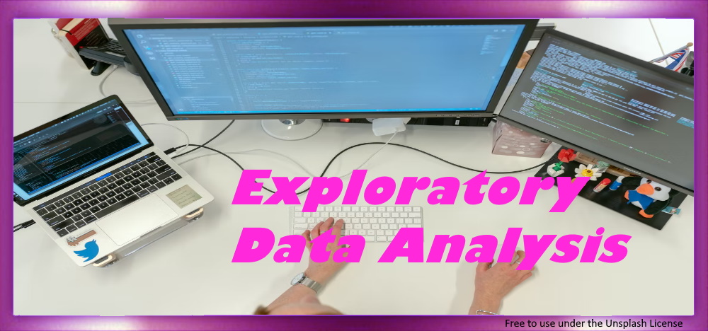 Explorative Datenanalyse (EDA)